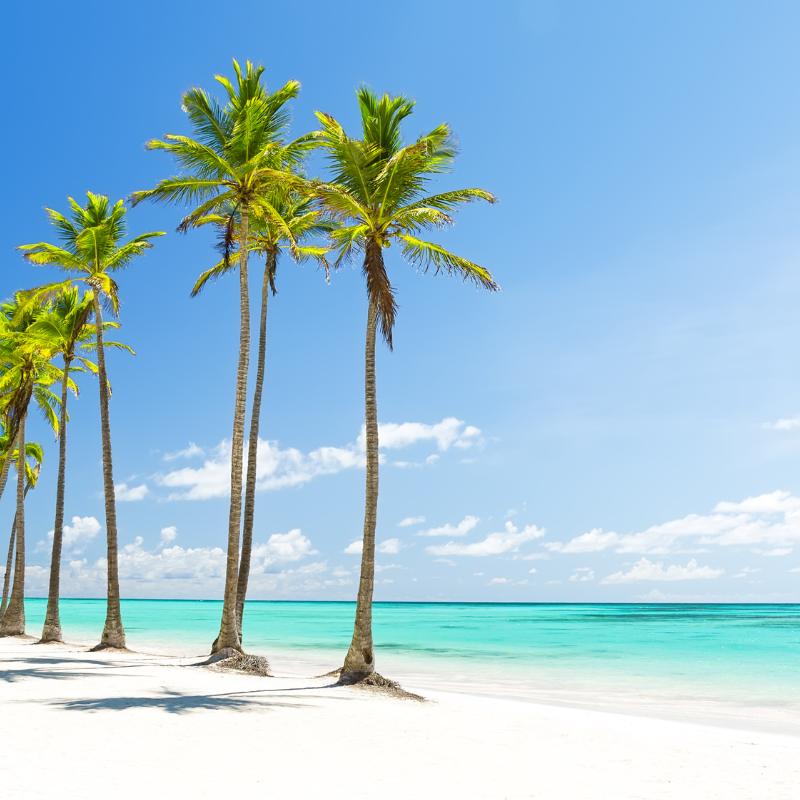 Andara at Cap Cana | Nancy Cruz